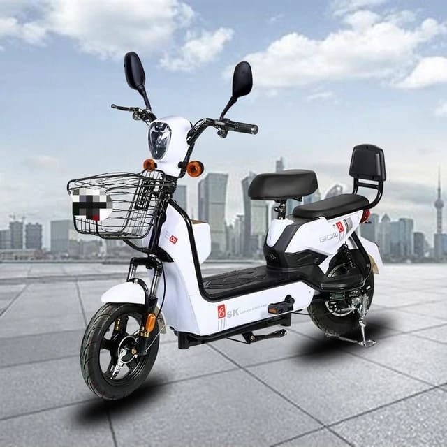 Factory direct sales e bike made in china storage electric bicycle battery adult electric