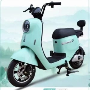 Factory direct sales e bike made in china storage electric bicycle battery adult electric