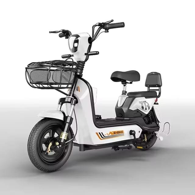Factory direct sales e bike made in china storage electric bicycle battery adult electric