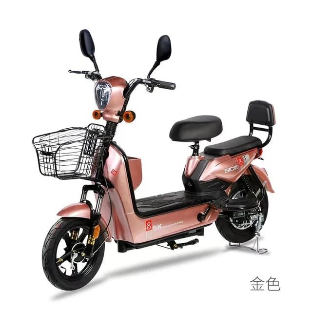 Factory direct sales e bike made in china storage electric bicycle battery adult electric