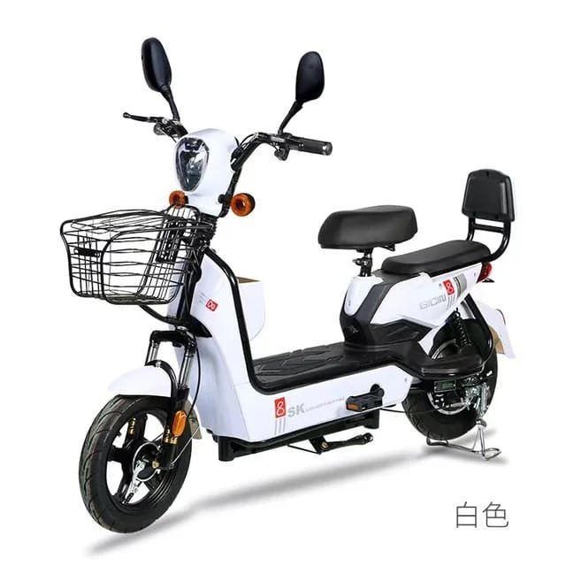 Factory direct sales e bike made in china storage electric bicycle battery adult electric
