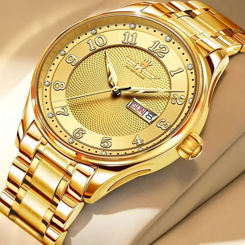 Dianpai Men's Luxury Automatic Mechanical Watch - Luminous Blue Dial, Roman Numerals, Date Display, Stainless Steel Band